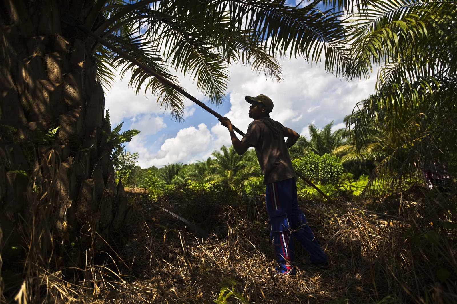 FAIR Company-Community Partnerships - Oxfam Novib