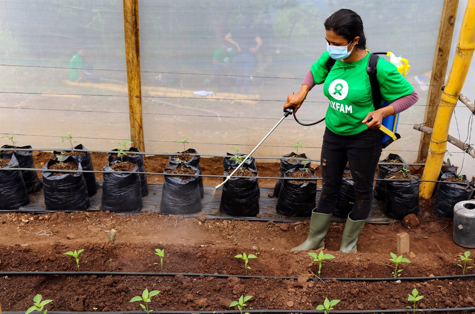 El Salvador organische pesticide InuruID 218863 2021-10-11.jpg