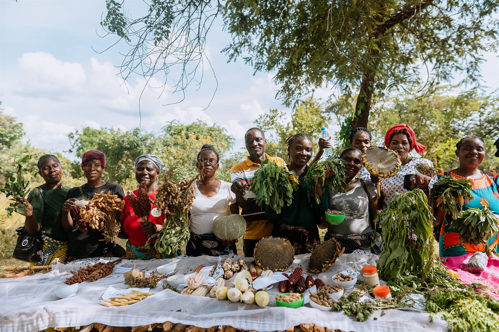 Zambia - food variety.jpg